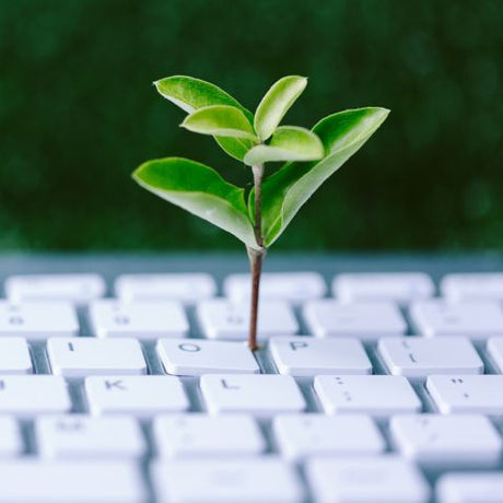 5 Ways Your Business Can Practice Green IT